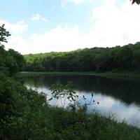 Springbrook State Park
