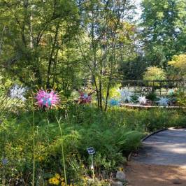 North Carolina Botanical Garden