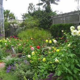 Sherman Library & Gardens
