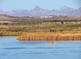 Mittry Lake Wildlife Area