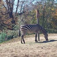 Pittsburgh Zoo & PPG Aquarium