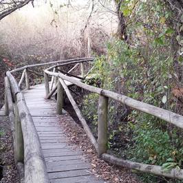 Parque Nacional de Donana