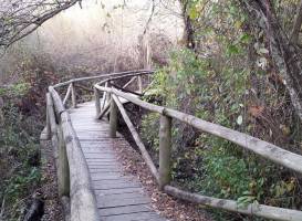 Parque Nacional de Donana
