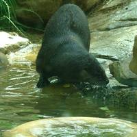 Zoo Knoxville