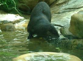 Zoo Knoxville