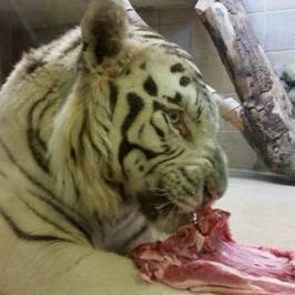 ZOO Liberec