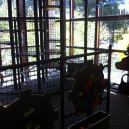 San Luis Obispo Children's Museum