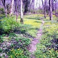 Caldwell Nature Preserve