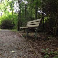 Bluebonnet Swamp Nature Center