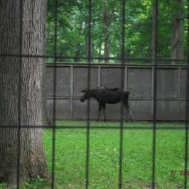 Potter Park Zoo