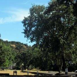 Skyline Wilderness Park