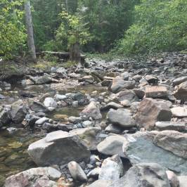 Fintry Estate & Provincial Park