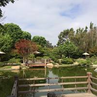 Earl Burns Miller Japanese Garden