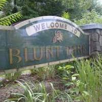 Blunt Park