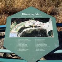 Devonian Fossil Gorge