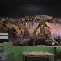 George S. Eccles Dinosaur Park