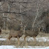 Ogden Nature Center