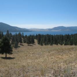 Wild Horse Island State Park