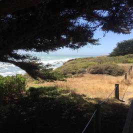 Moonstone Drive