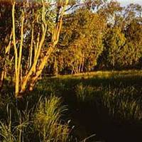 Coronado Butterfly Preserve