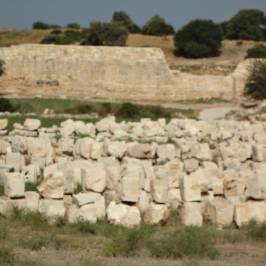 The Necropolis