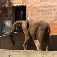 Bojnice Zoo