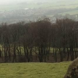 Poole's Cavern & Buxton Country Park