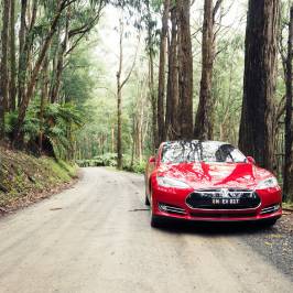 Dandenong Ranges