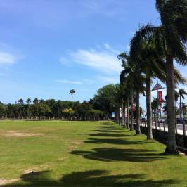 Albert Park