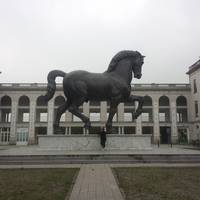 Leonardo da Vinci's Horse