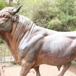 Cerro del Toro