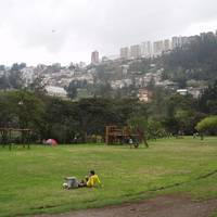 Guapulo