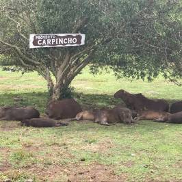 La Reserva de Fauna