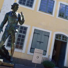 Linnaeus Garden