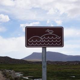 Parque Nacional Lauca
