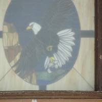 Nature and Raptor Center of Pueblo