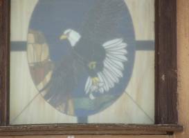 Nature and Raptor Center of Pueblo