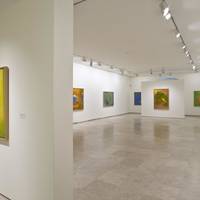 Museo de Arte Contemporaneo Esteban Vicente