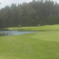 Turtle Bay Golf