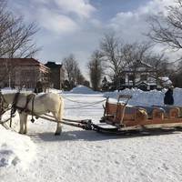 Historical Village of Hokkaido (Kaitaku-no Mura)