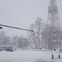 Odori Park