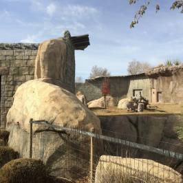 El Paso Zoo