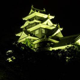 Okayama Castle