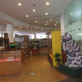 Cat Museum
