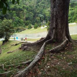 Penang Botanical Gardens