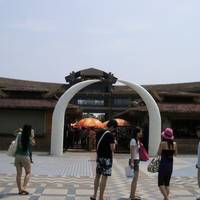 Dino Beach