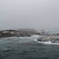 Duiker Island