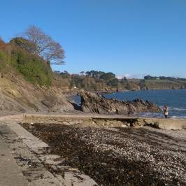 Trebah Garden