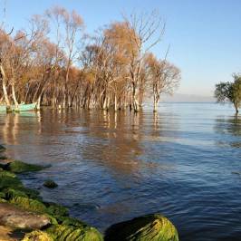 Erhai Lake