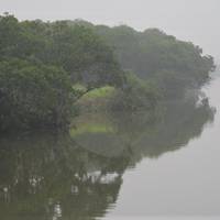 Mai Po Nature Reserve